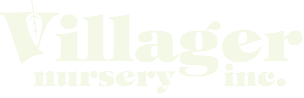 Villager Logo